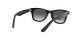 Ray-Ban Junior Wayfarer RJ 9066S 100/11